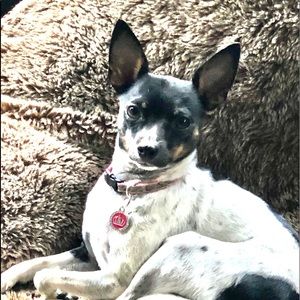 Meet your Posher, Yaneisy